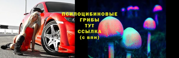 герыч Алексин