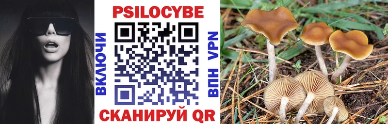 Галлюциногенные грибы GOLDEN TEACHER  закладка  Оса 