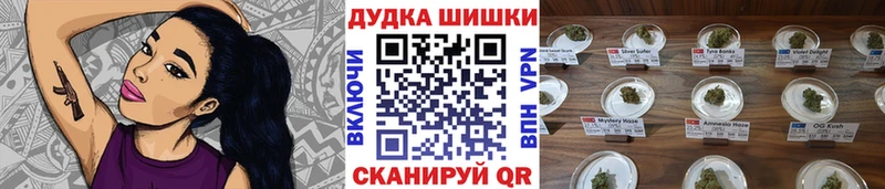 Конопля сатива  Оса 
